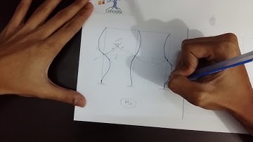 Structural Analysis & Design III: Problem 4 Influence Line Drawing(Multi floor multi bay problem)