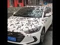 السماء تمطر ديدان على الصين هل من تفسير مقطع متداول 11 03 23