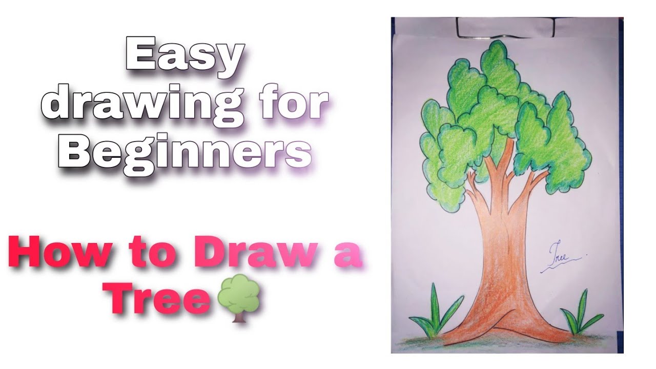 How to draw a tree with marker | easy drawing for beginners | Art ...