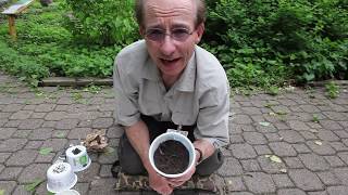 Creature Feature: Wiggling Worms