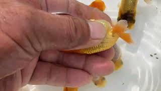 IMG 25301