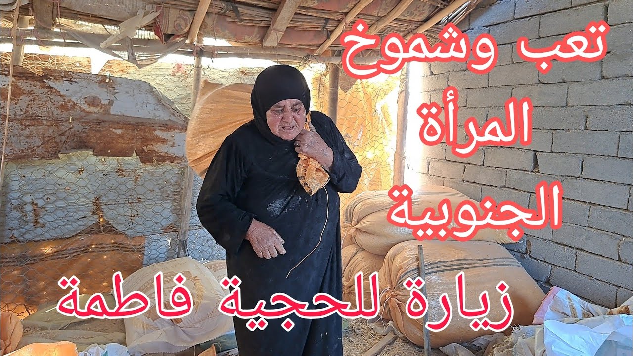  شموخ وتعب المرأة الجنوبية في تربية الجاموس، وزيارة للحجية فاطمة 