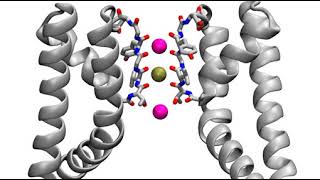 Computational Opening of the MthK Potassium Channel