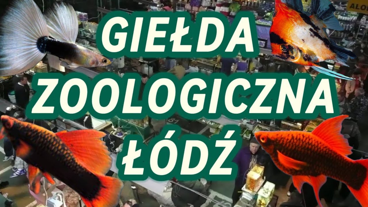 GIEŁDA ZOOLOGICZNA ŁÓDŹ 2023/2024 RELACJA