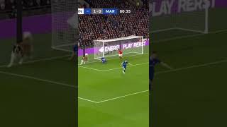 Saint Bernard Saves The Goal Like A Real Goalkeeper Сенбернар Рятує Ворота Як Захистник