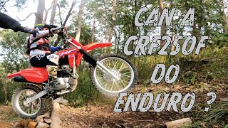 Can a Honda CRF250F do Enduro ? RAW SOUND !