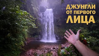 Путешествие Через Джунгли Панамы В Дождь | Asmr, Pov, Релакс