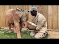 Donate a bottle of milky love for albino baby elephant Khanyisa