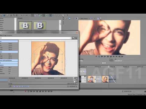 Sony Vegas Effect // #19