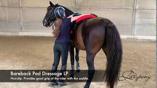 Celebrity Lazypony's Bareback Pad Dressage Net Worth