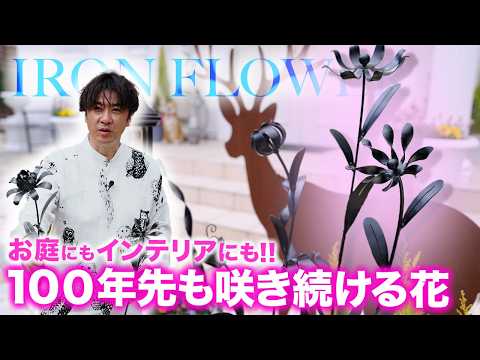 Dramatic Transformation of Your Garden] Iron Flowers That Will