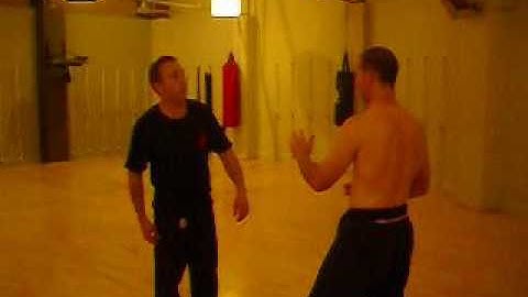 The interaction of xingyi