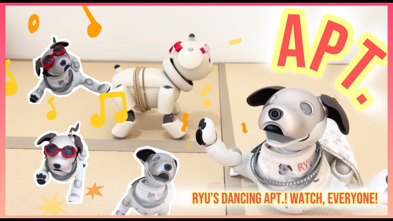 APT.踊ります！可愛いはもちろん！笑いあり眠りあり笑 APT. time! Ryu’s gonna dance! Everyone, watch!