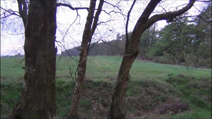 Buck shot with a 7mm08