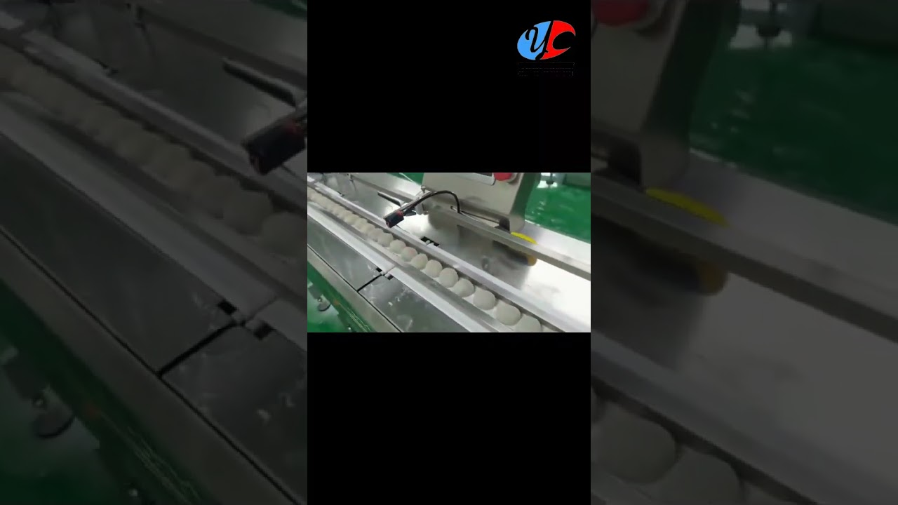 Mochi Ice Cream Packing Machine