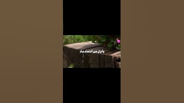 الله الذي حلق السماوات والارض  المنشاوي   #المصحف #سورة #quran#المنشاوي