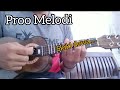 Proo melodi ukulele senar 4  by tau pu official