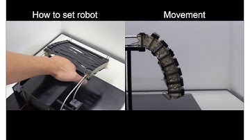 Grasp-Training Robot to Activate Neural Control Loop for Reflex and Experimental Verification