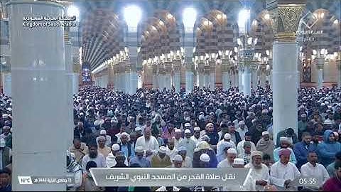 تلاوة تحبيرية خاشعة من سورة يوسف 42-57 للشيخ أ.د. #محمد_برهجي فجر السبت 13 جمادى الآخرة 1446هـ