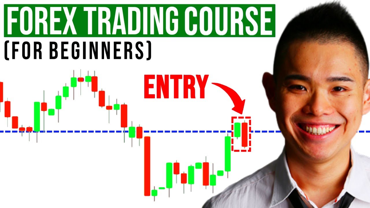 the best forex trading courses