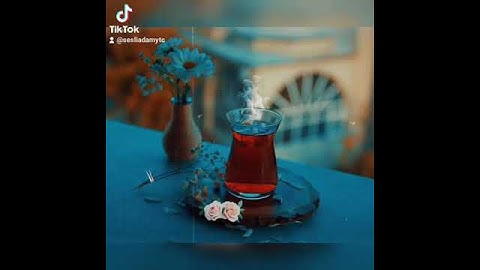 Thumbnail of Tuğçe Kandemir 🎶 Mağusa Limanı 🎶 Huzur Veren Müzikler 🎵