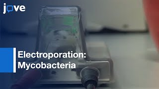 Electroporation Of Mycobacteria l Protocol Preview