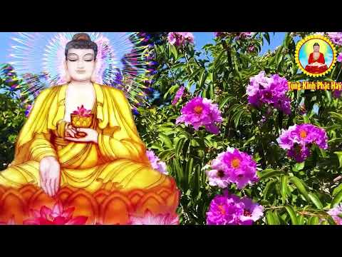 Video Chiều Mùng 5 Âm Nghe Kinh Phật Này Hết Mọi Khổ Đau... - youtube