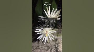 آية ٢٩ "ألم تر أن الله يولج الليل في النهار" من سورة لقمان | سبحان الذي أبدع في خلقه