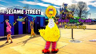 Sesame Street Mardi Gras Parade Stop 3/17/24 - Happy Birthday Big Bird