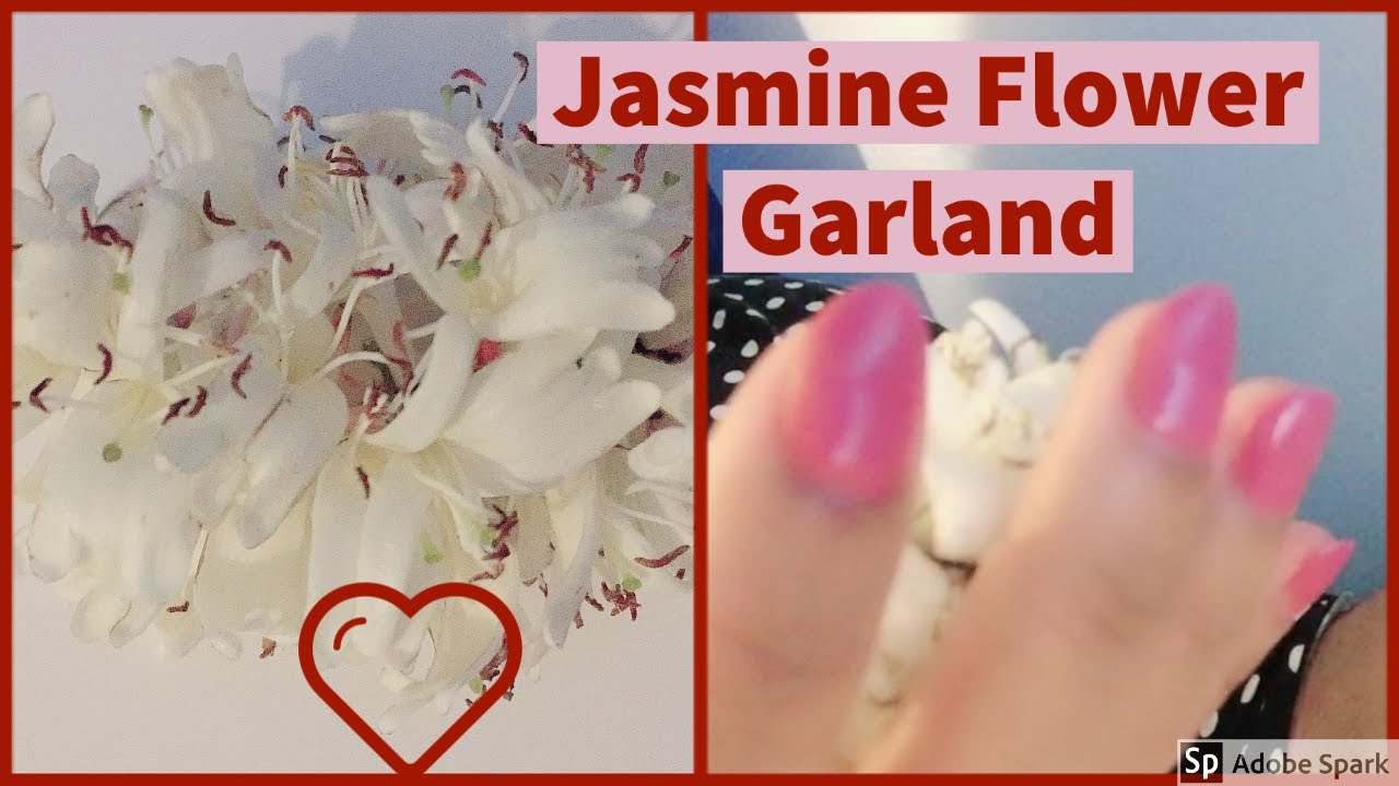 How To String Jasmine Flower Garland/ ಹೂ ಕಟ್ಟುವುದು YouTube