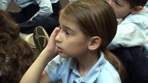 Teaching In The Inclusive Classroom: Peer Teaching and Group Learning