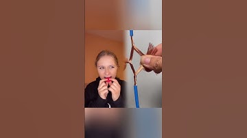 Part 29 Loved it?Like, comment,subscribe!Let