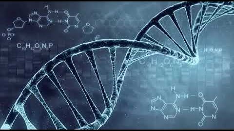 DNA double helix 3d animation