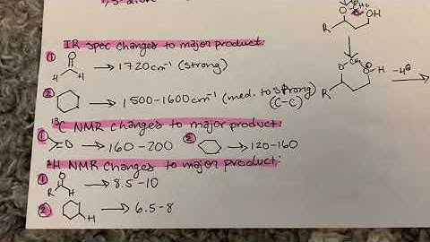 Prins Reaction Video Project