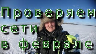 Проверяем сети в феврале