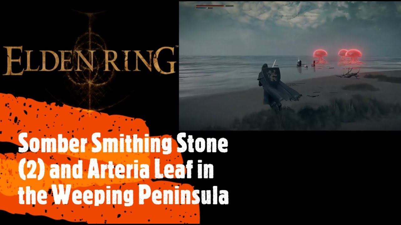 Elden Ring Somber Smithing Stone 2 And Arteria Leaf In The Weeping elden-ring-somber-smithing-stone-2-and-arteria-leaf-in-the-weeping