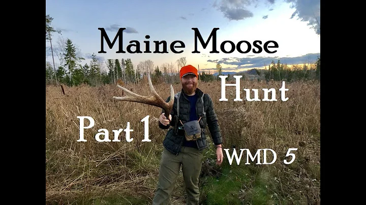 Maine Moose Hunt - DIY (2018) Part 1