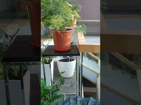 Город будущего с гроубагом GrowNic горшок для растений