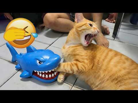 Try Not to Laugh 😜 The Funniest Pet Reactions Ever!