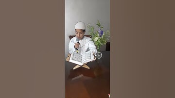 سورة المسد - رواية ورش - محمد الراحلي