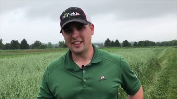 Careers in PA Agriculture - Agronomy