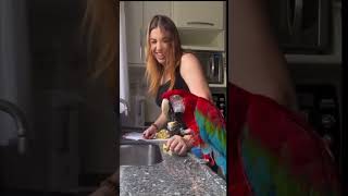 Caring Macaw Bird Passes a Treat to a Dog