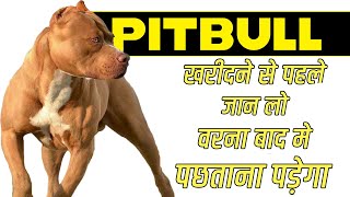 Pitbull Dog Buy or Not | Pitbull Dog Fighting Video | Pitbull Dog Real Fight | Sahil Berwer |