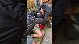 Download Lagu 2 PAWANG TURUN TANGAN #hokyahunter #jaranan #jathilan #jathilankeren #kudalumping #jathilanputri MP3