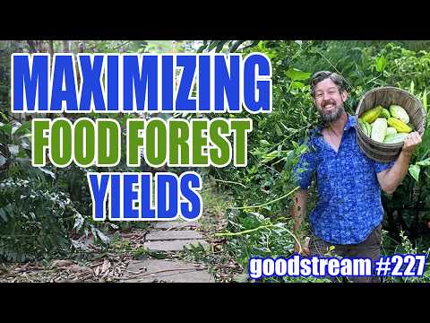 How to get GREAT Food Forest Yields - Right from the Beginning!