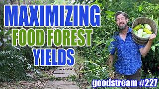 How To Get Great Food Forest Yields - Right From The Beginning!