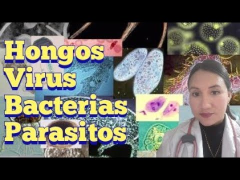 Vídeo: Diferencia Entre Parásitos Y Bacterias