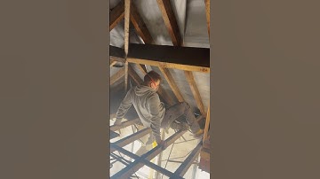 Removing a lath & plaster ceiling #ceiling #homerenovation #backtobasics #home #renovation #reno