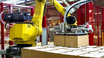 Robotic Palletizing Cell with Accumulation - HSC & RSC Cases