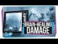 Video Tutorial Quiz